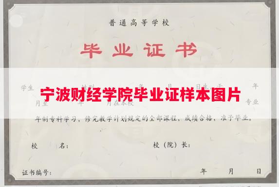 宁波财经学院毕业证样本图片