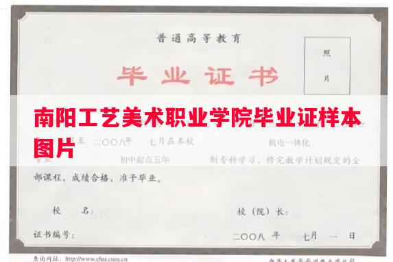 南阳工艺美术职业学院毕业证样本图片