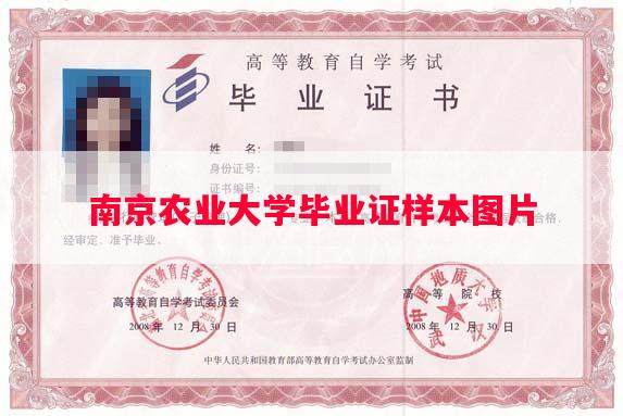 南京农业大学毕业证样本图片