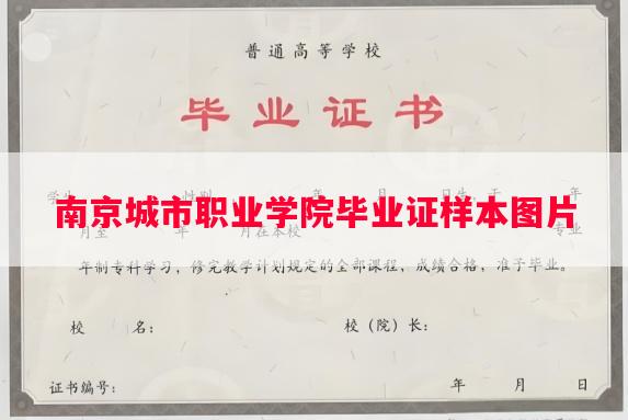 南京城市职业学院毕业证样本图片