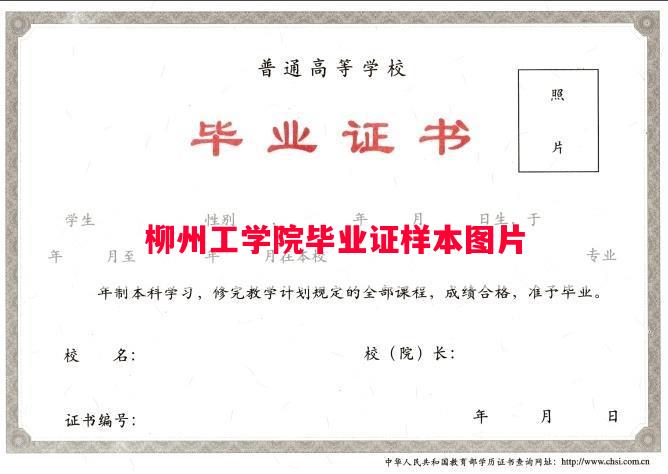 柳州工学院毕业证样本图片