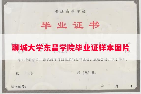 聊城大学东昌学院毕业证样本图片