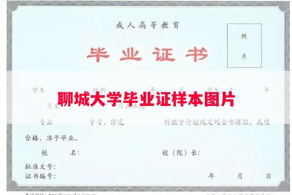 聊城大学毕业证样本图片