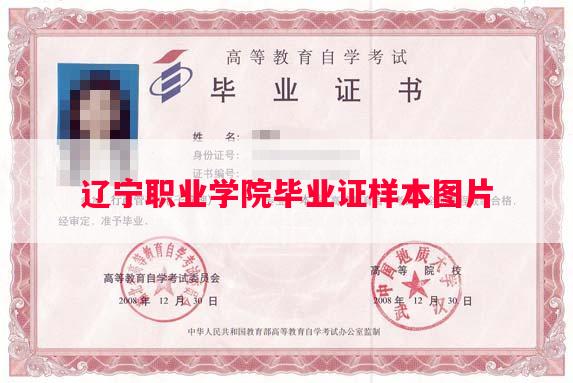辽宁职业学院毕业证样本图片