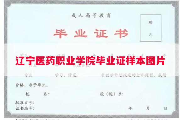 辽宁医药职业学院毕业证样本图片