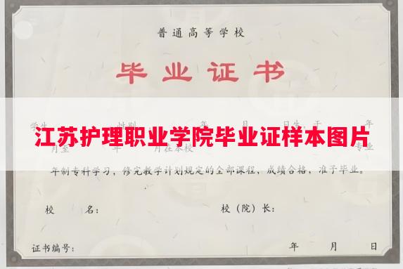 江苏护理职业学院毕业证样本图片