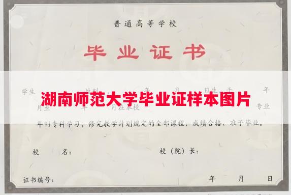 湖南师范大学毕业证样本图片