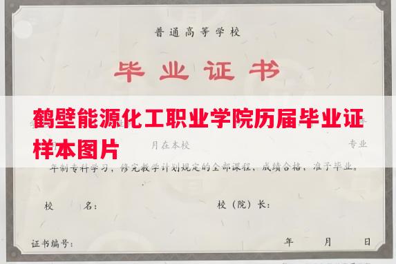鹤壁能源化工职业学院历届毕业证样本图片