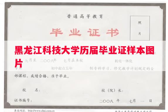 黑龙江科技大学历届毕业证样本图片
