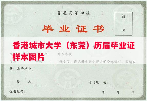 香港城市大学（东莞）历届毕业证样本图片