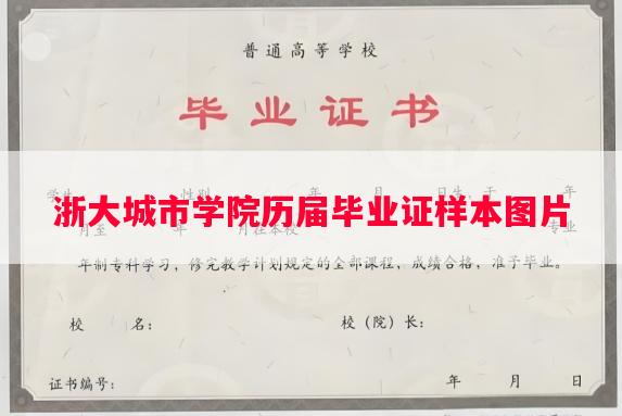 浙大城市学院历届毕业证样本图片