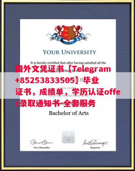 德国慕尼黑大学毕业证书样本成绩单