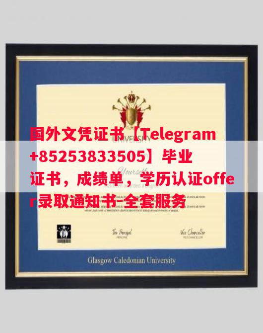 德国波恩大学毕业证书样本成绩单