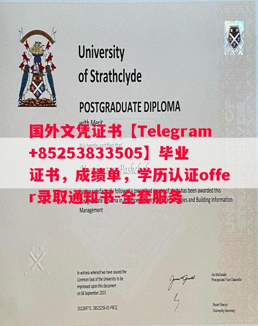 马赛大学毕业证书样本成绩单